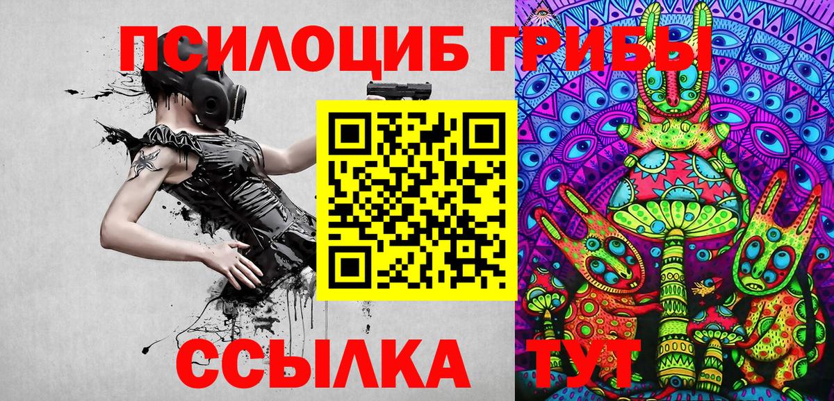 Псилоцибиновые грибы Psilocybine cubensis  Псилоцибиновые грибы Cubensis  Барнаул  Вход с VPN 